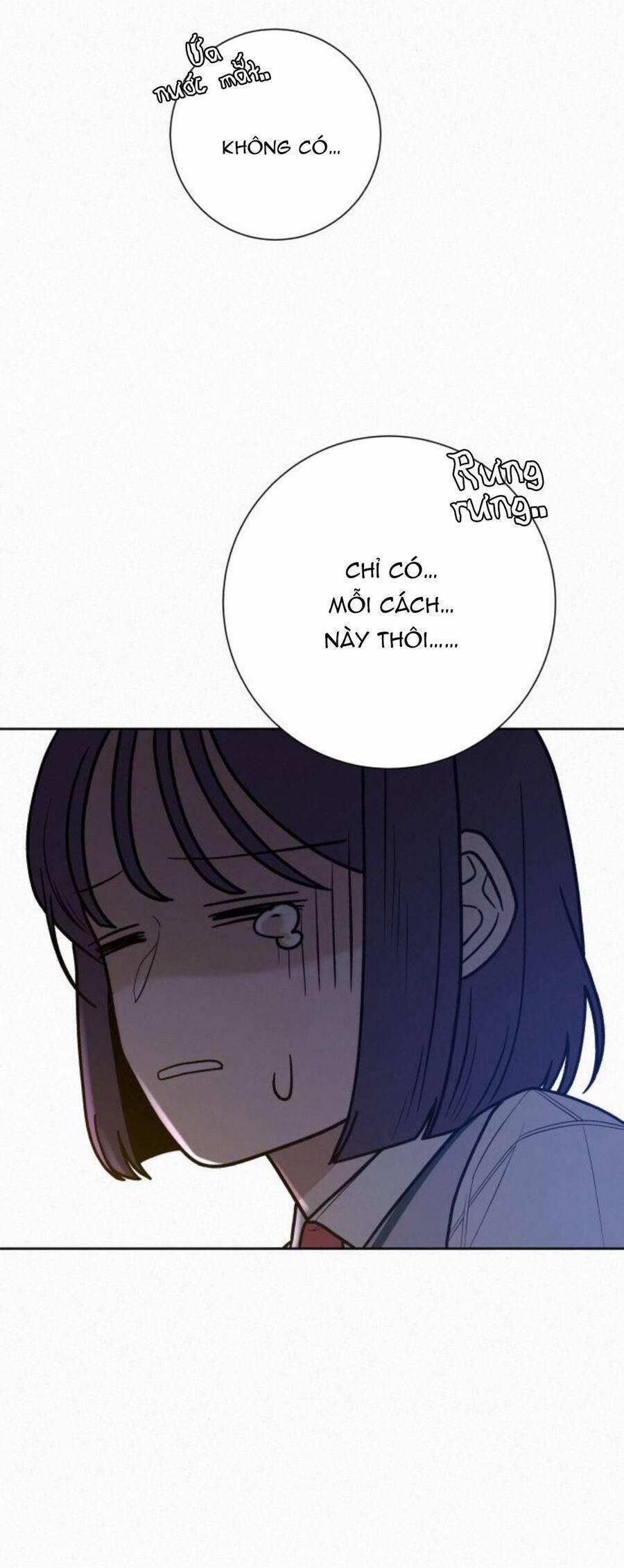 Tình Yêu Trong Sáng 48 trang 11