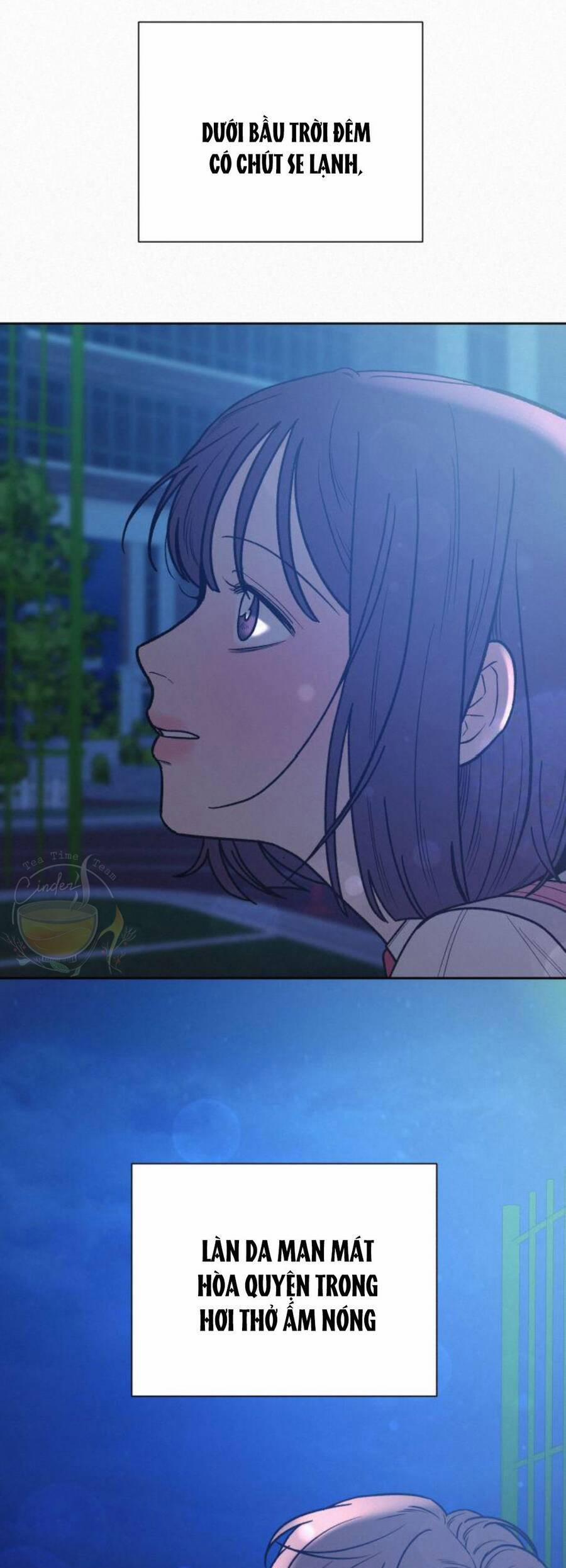 Tình Yêu Trong Sáng 49 trang 18