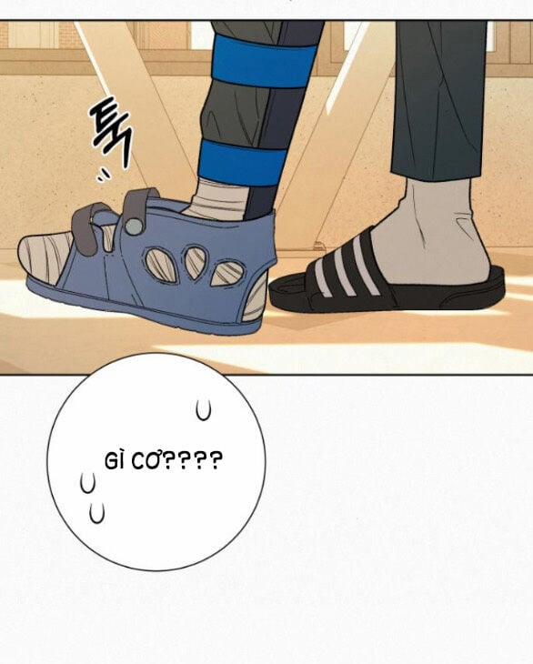 Tình Yêu Trong Sáng 67.2 trang 5