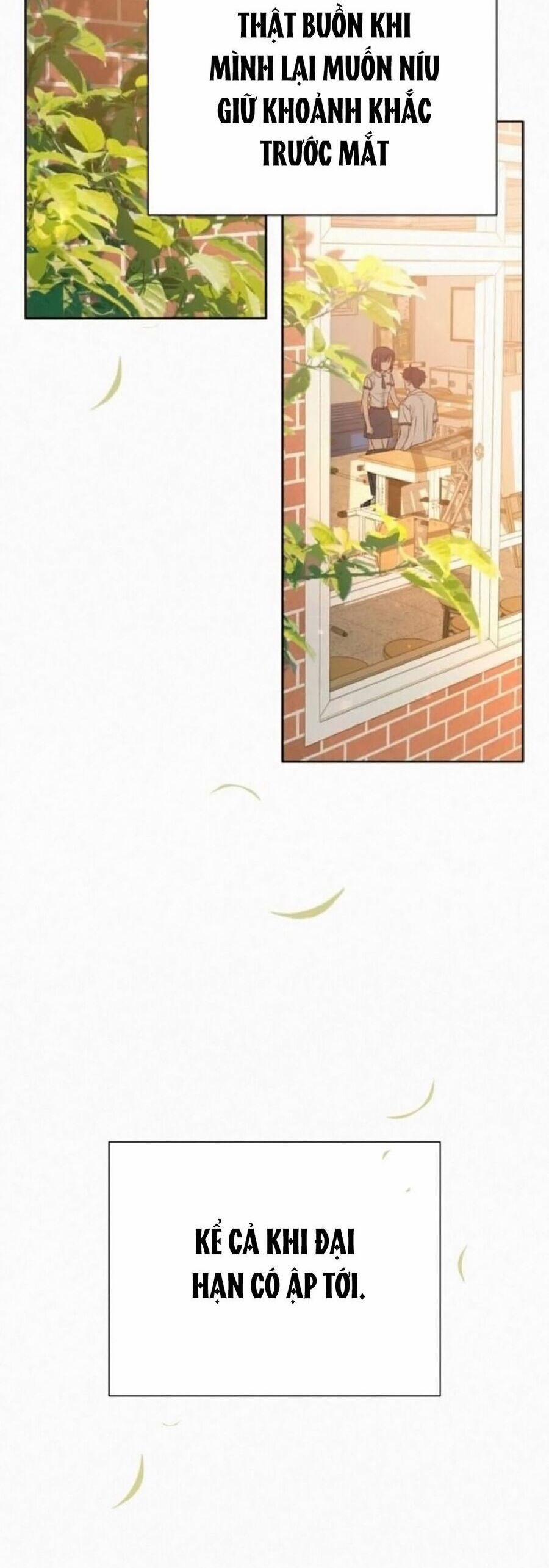 Tình Yêu Trong Sáng 72 trang 23