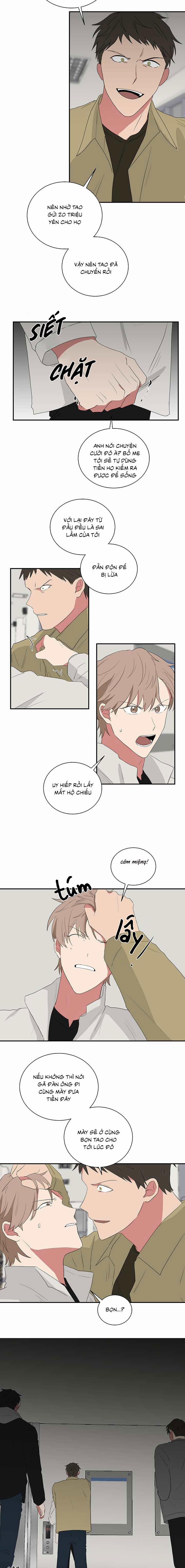 Tình Yêu YAKUZA 31 trang 13