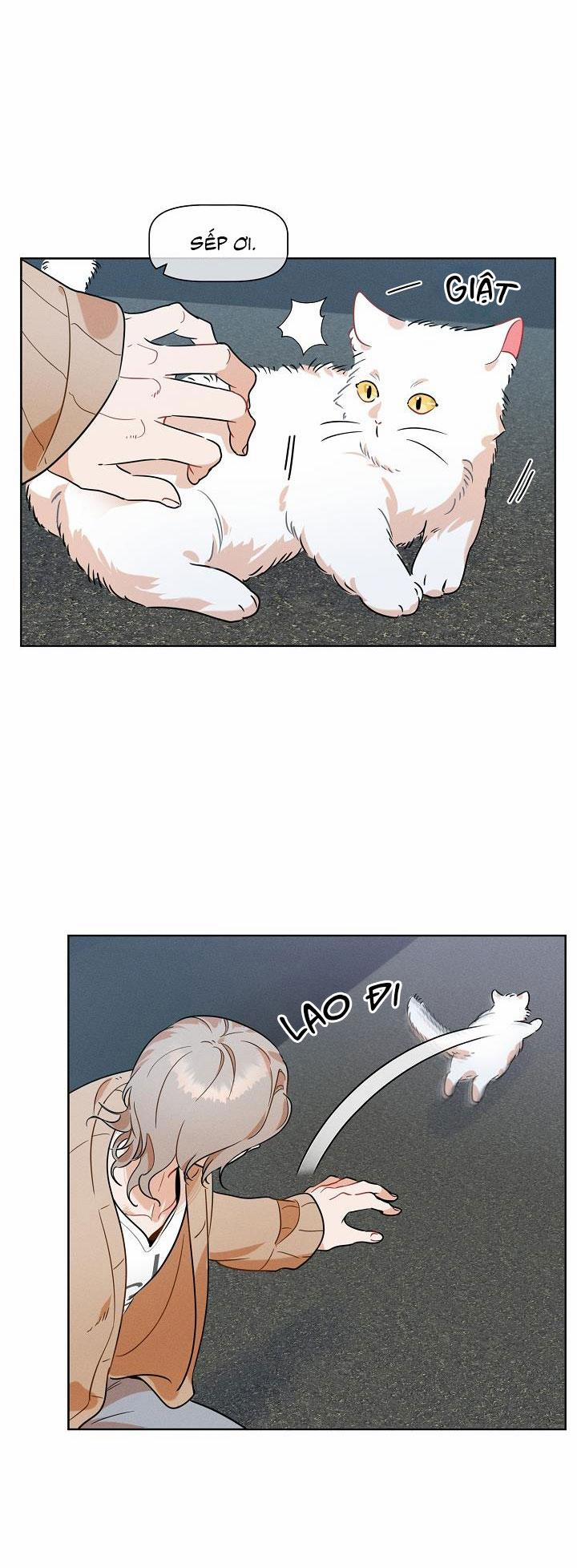 Tố Cáo Sếp Tôi 12 trang 22