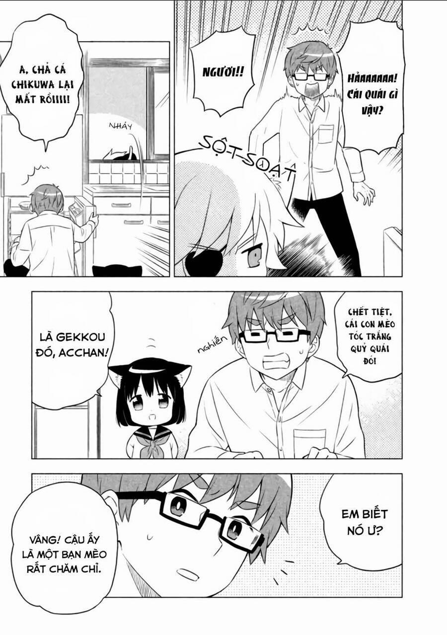 Tớ Là Mèo Kohana 8 trang 2