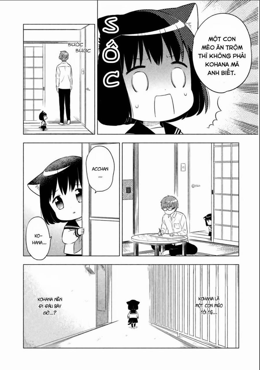 Tớ Là Mèo Kohana 8 trang 5