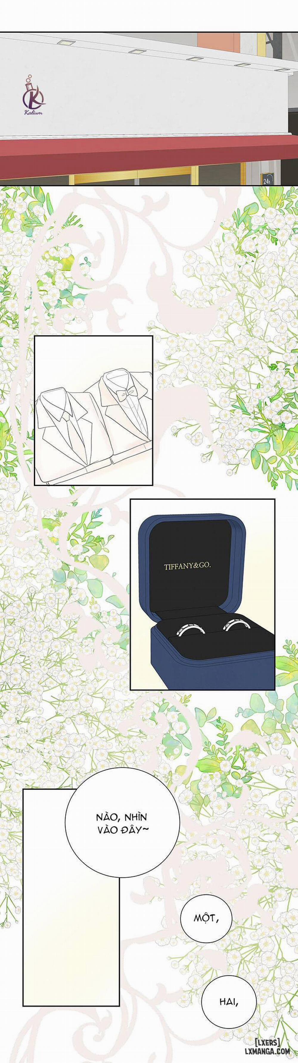 Tò mò về Review ư? Ngoại truyện 1 trang 17