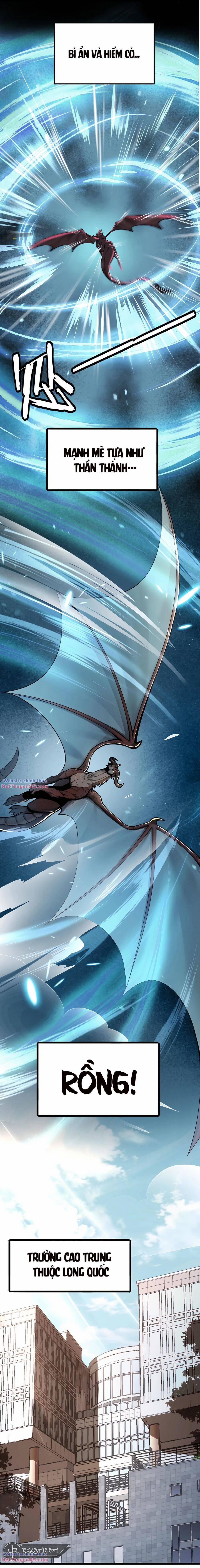 Toàn Dân Chuyển Chức: Ngự Long Sư Là Yếu Nhất Nghề Nghiệp? 1 trang 4