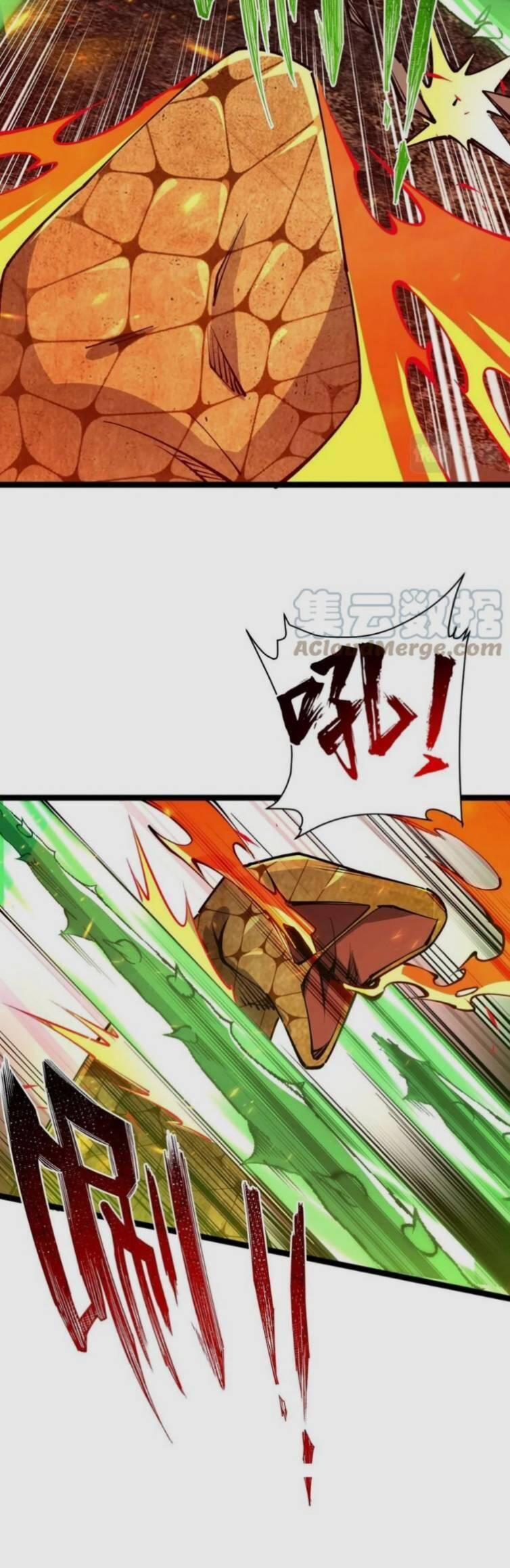 Toàn Thuộc Tính Võ Đạo 21 trang 23