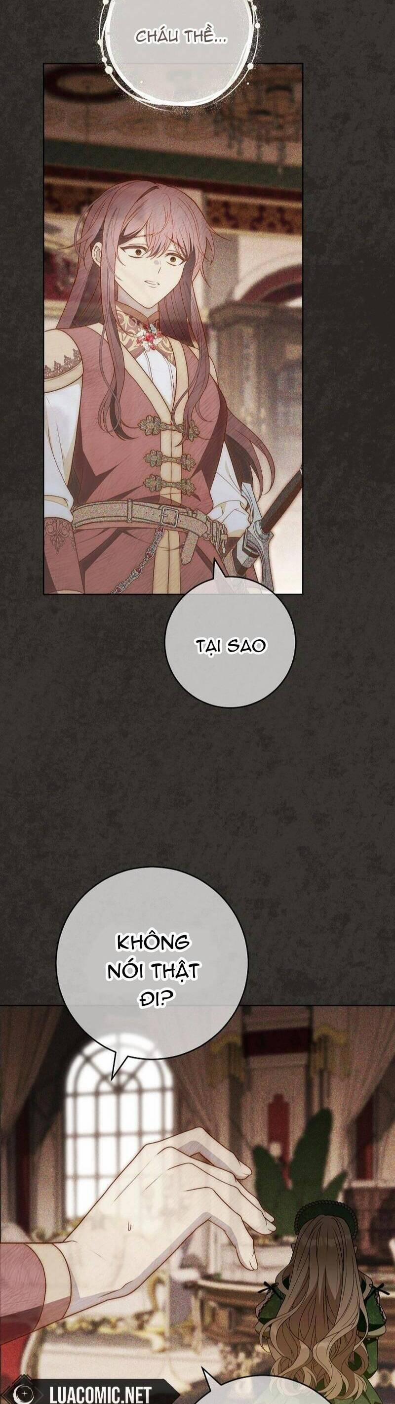 Tôi Bị Bảo Phải Chết 14 trang 27