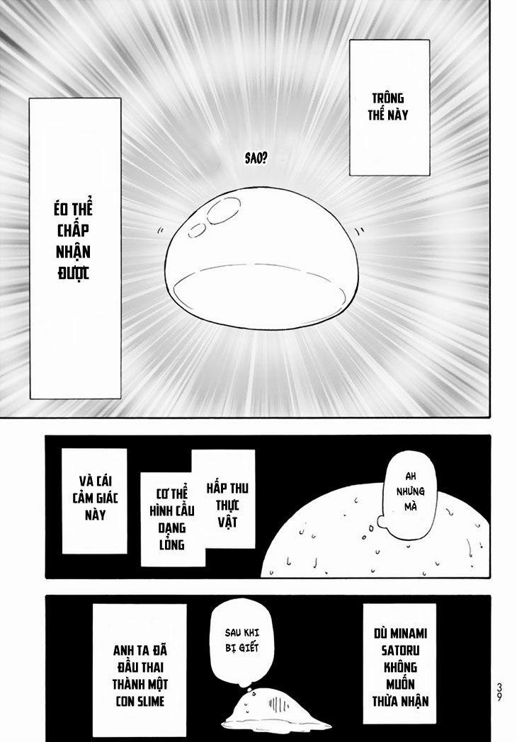 Tôi Đã Chuyển Sinh Thành Slime 1 trang 17