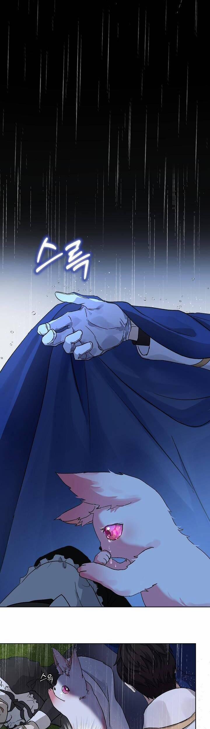 Tôi Đã Tái Sinh Thành Bé Cáo Của Thần 10 trang 10