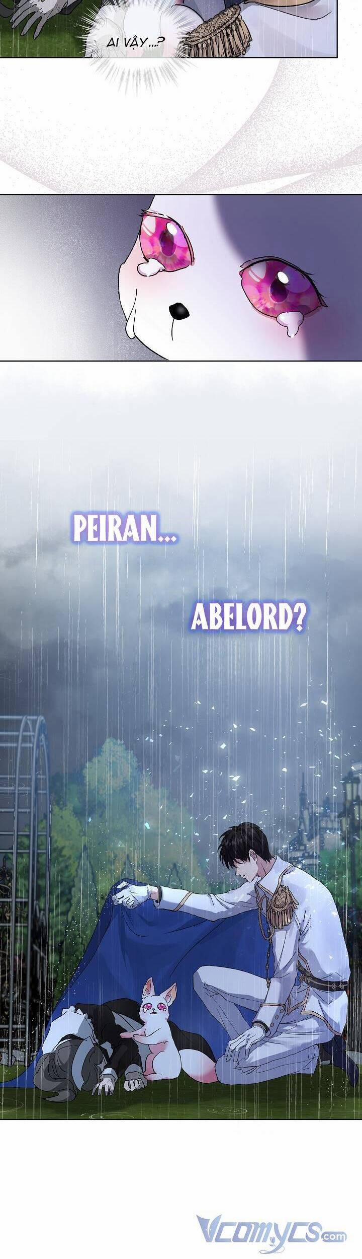 Tôi Đã Tái Sinh Thành Bé Cáo Của Thần 10 trang 11