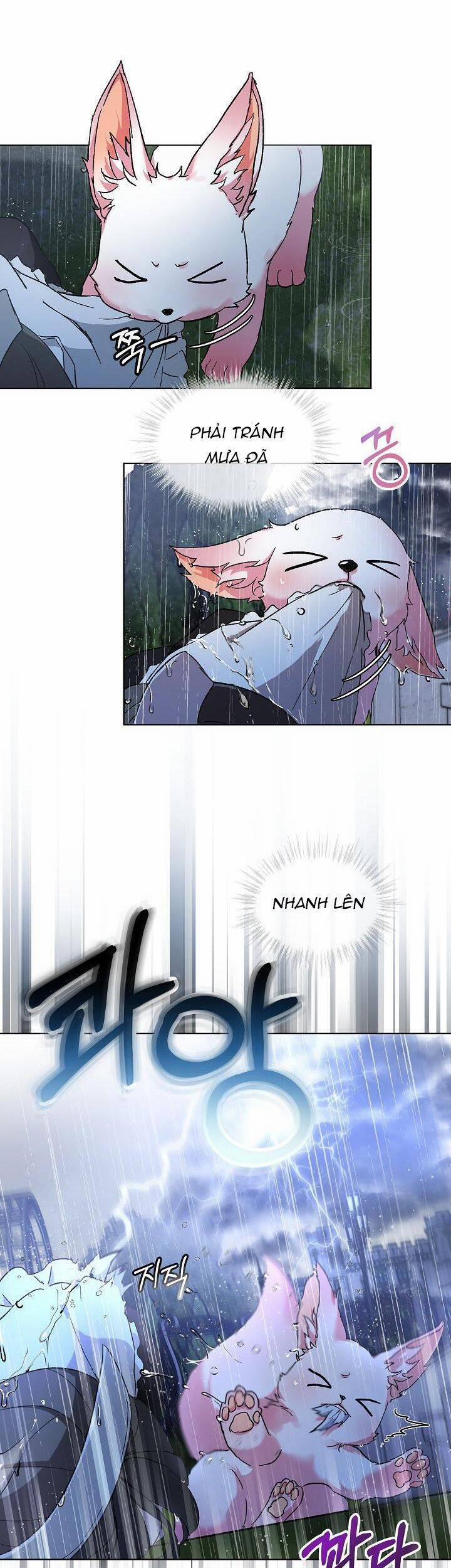 Tôi Đã Tái Sinh Thành Bé Cáo Của Thần 10 trang 8