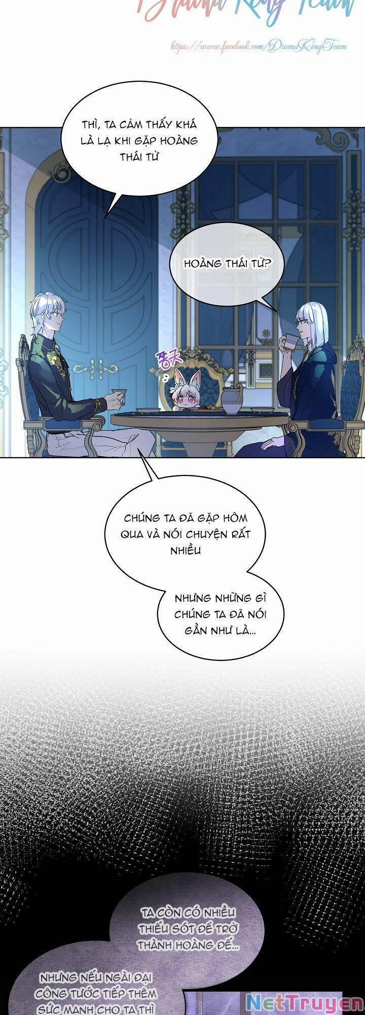 Tôi Đã Tái Sinh Thành Bé Cáo Của Thần 11 trang 11