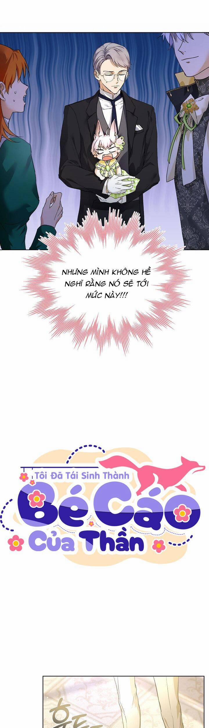Tôi Đã Tái Sinh Thành Bé Cáo Của Thần 16 trang 4