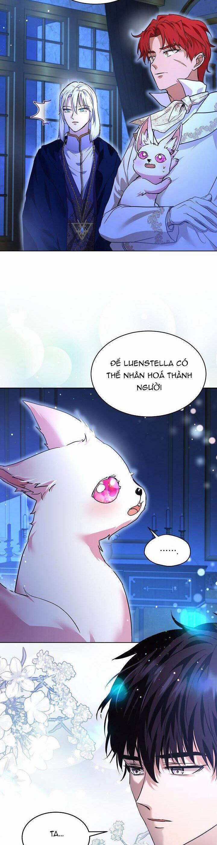 Tôi Đã Tái Sinh Thành Bé Cáo Của Thần 23 trang 36