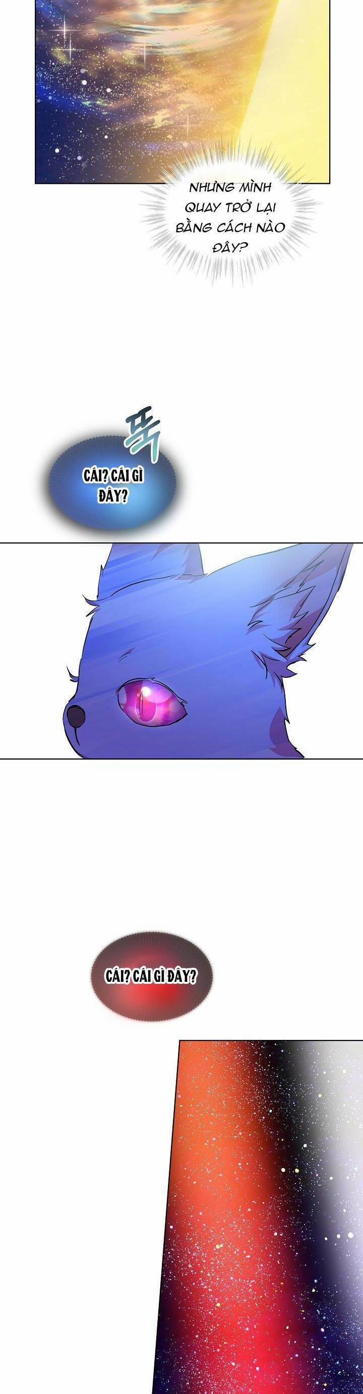 Tôi Đã Tái Sinh Thành Bé Cáo Của Thần 31 trang 13