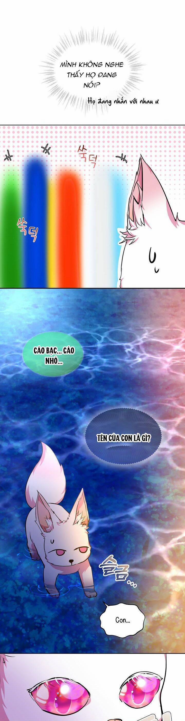 Tôi Đã Tái Sinh Thành Bé Cáo Của Thần 31 trang 15