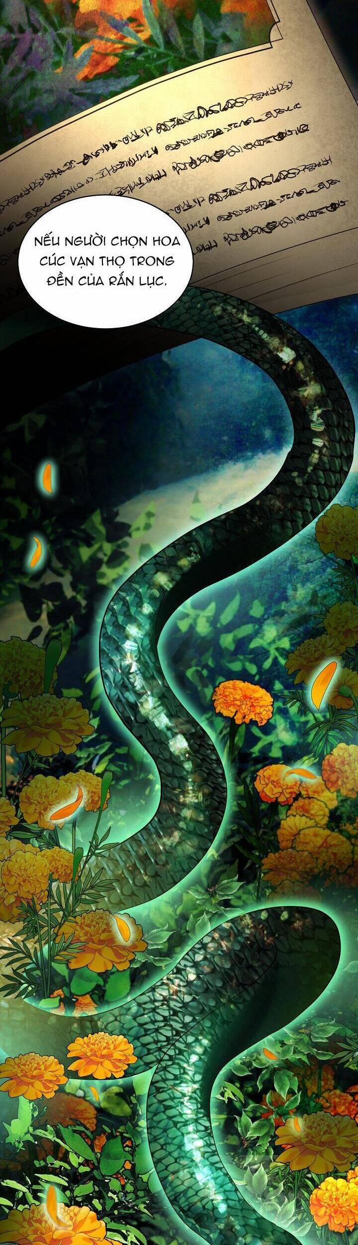 Tôi Đã Tái Sinh Thành Bé Cáo Của Thần 33 trang 10