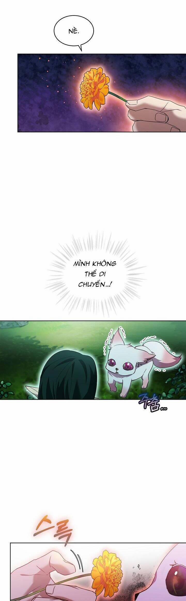 Tôi Đã Tái Sinh Thành Bé Cáo Của Thần 33 trang 15