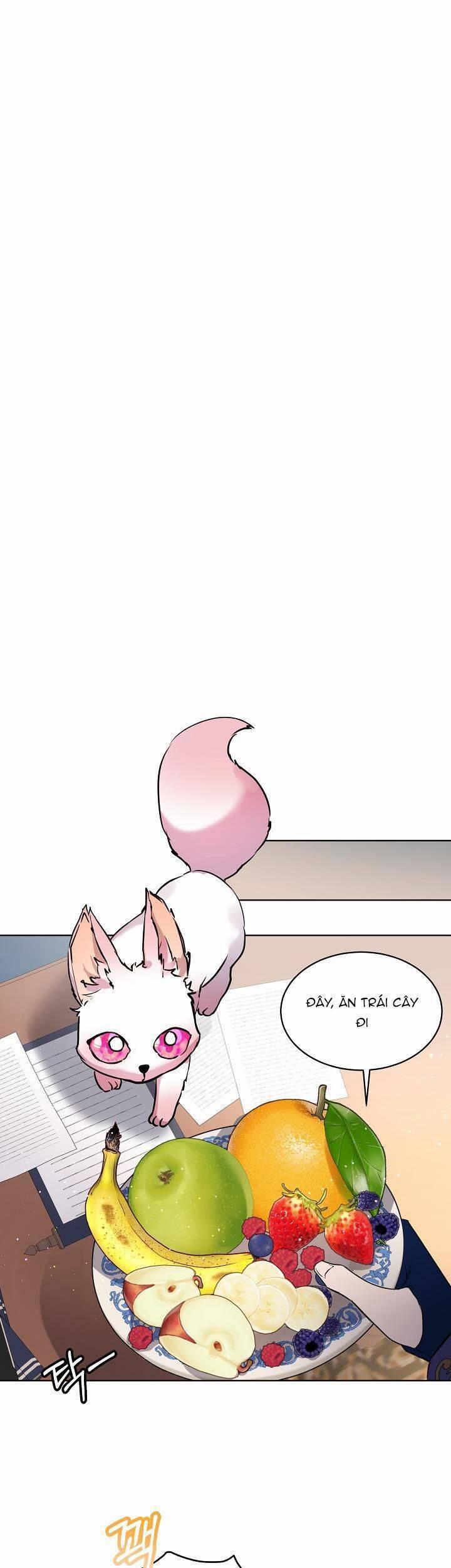 Tôi Đã Tái Sinh Thành Bé Cáo Của Thần 4 trang 12