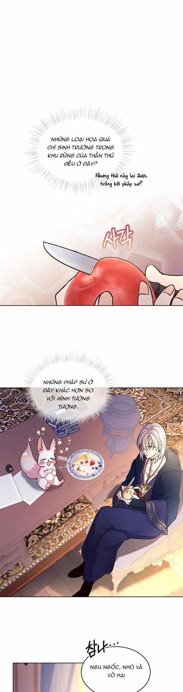 Tôi Đã Tái Sinh Thành Bé Cáo Của Thần 4 trang 16