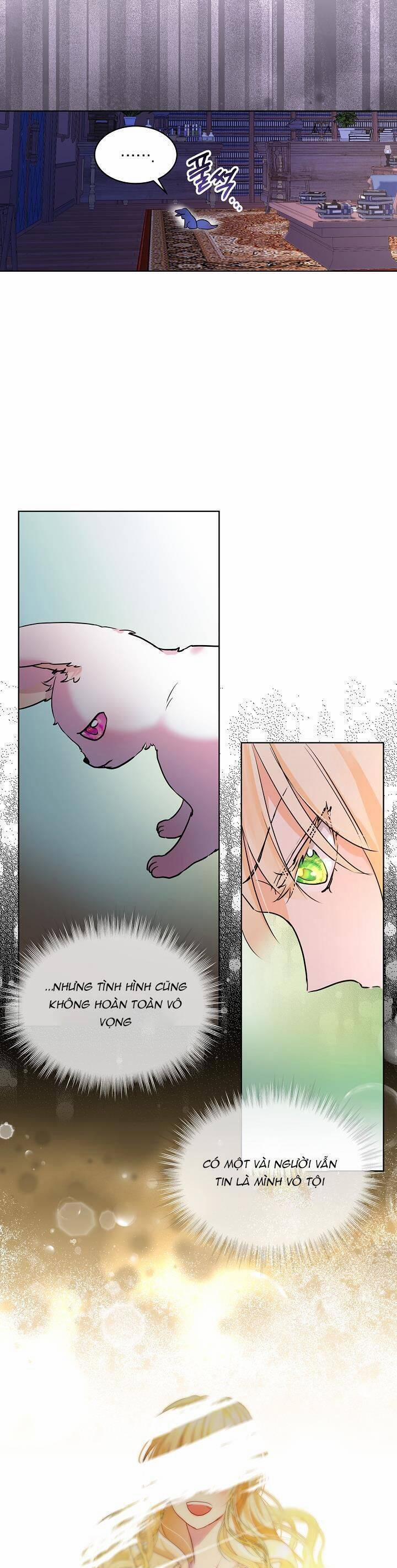 Tôi Đã Tái Sinh Thành Bé Cáo Của Thần 4 trang 28