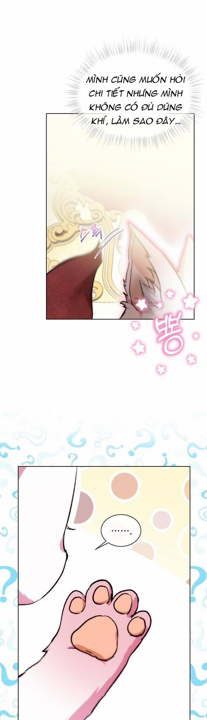 Tôi Đã Tái Sinh Thành Bé Cáo Của Thần 40 trang 19