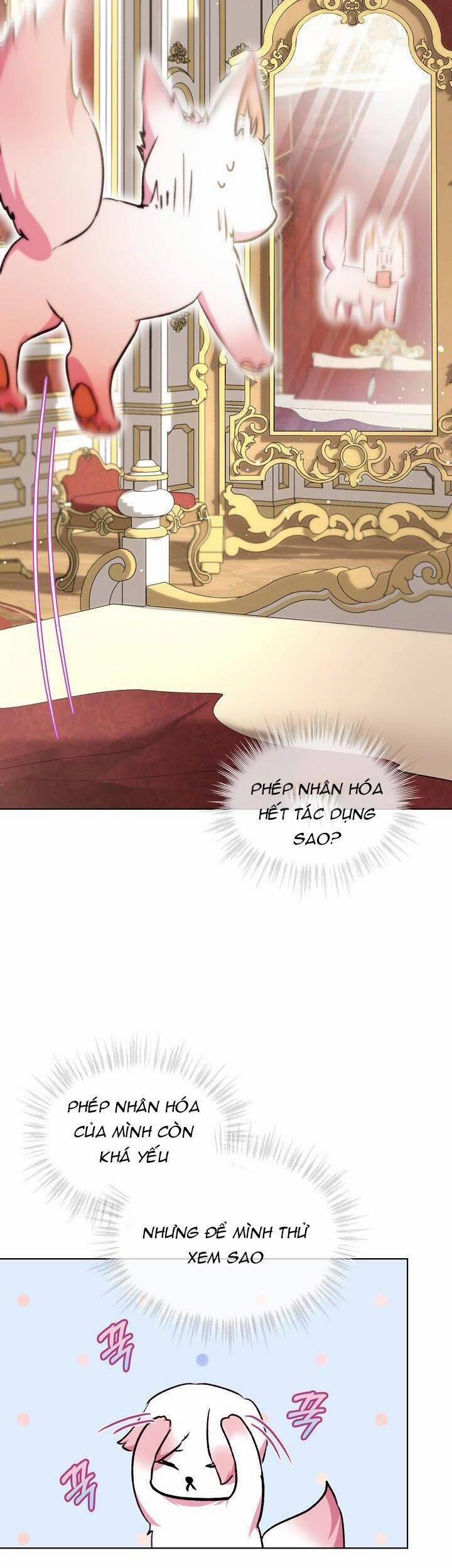 Tôi Đã Tái Sinh Thành Bé Cáo Của Thần 40 trang 21