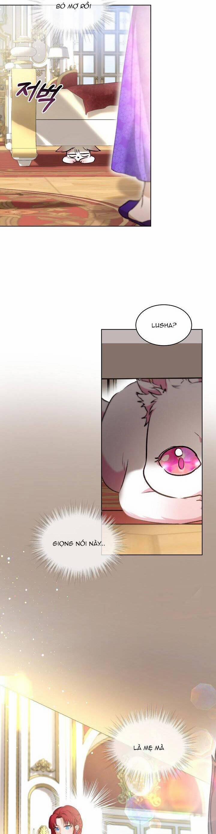 Tôi Đã Tái Sinh Thành Bé Cáo Của Thần 40 trang 29