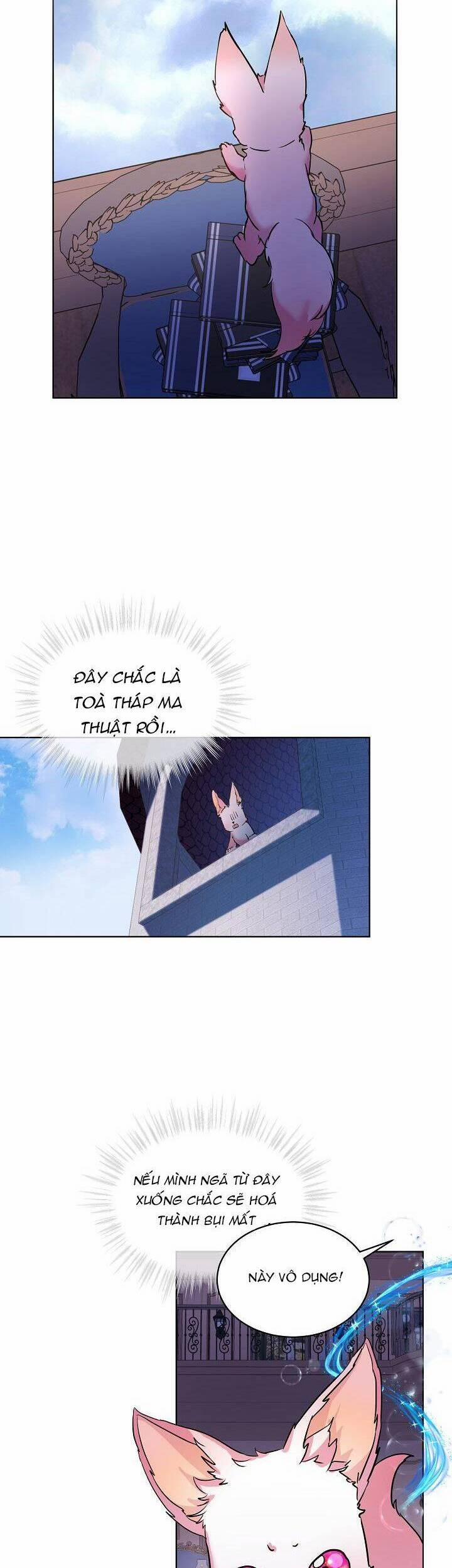 Tôi Đã Tái Sinh Thành Bé Cáo Của Thần 5 trang 13