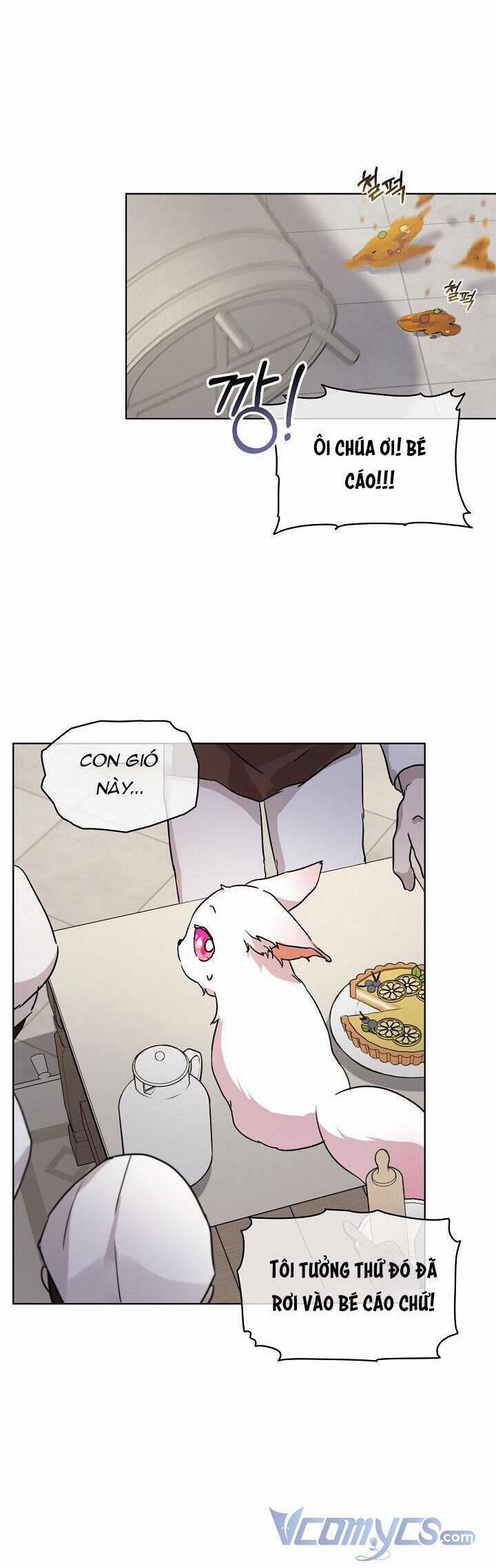 Tôi Đã Tái Sinh Thành Bé Cáo Của Thần 8 trang 15