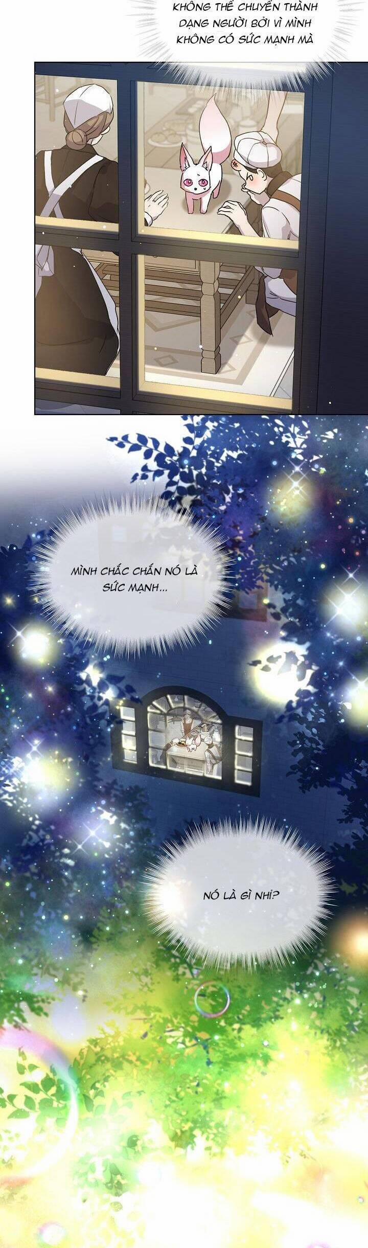 Tôi Đã Tái Sinh Thành Bé Cáo Của Thần 8 trang 17