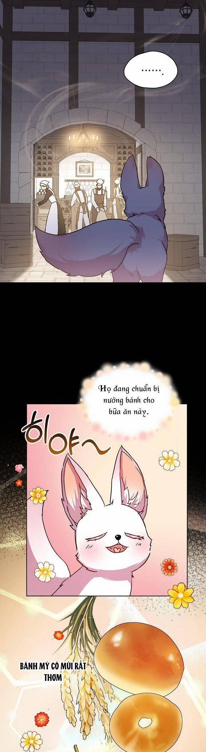 Tôi Đã Tái Sinh Thành Bé Cáo Của Thần 8 trang 5