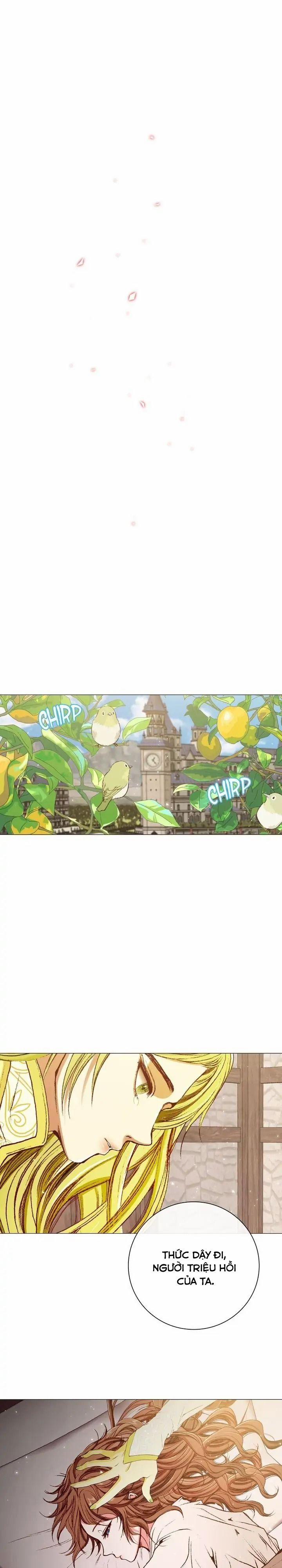 Tôi Đã Trở Thành Tiểu Thư Xấu Xí 27 trang 20