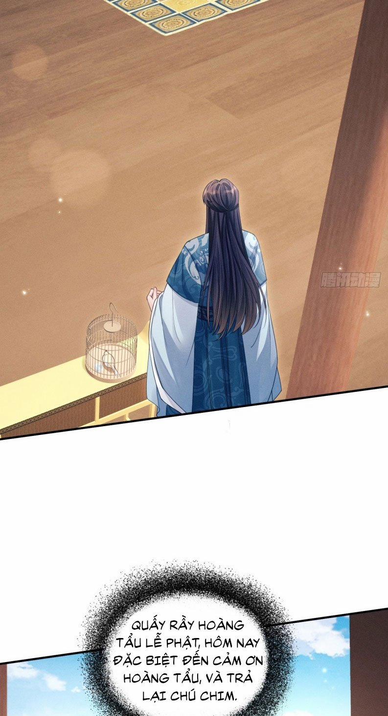 Tôi Hoài Nghi Ảnh Đế Đang Theo Đuổi Tôi 171 trang 5