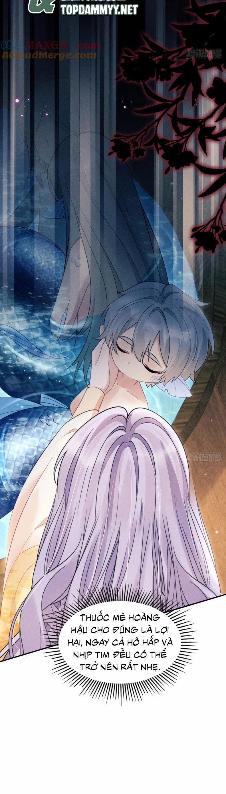 Tôi Hoài Nghi Ảnh Đế Đang Theo Đuổi Tôi 175 trang 20