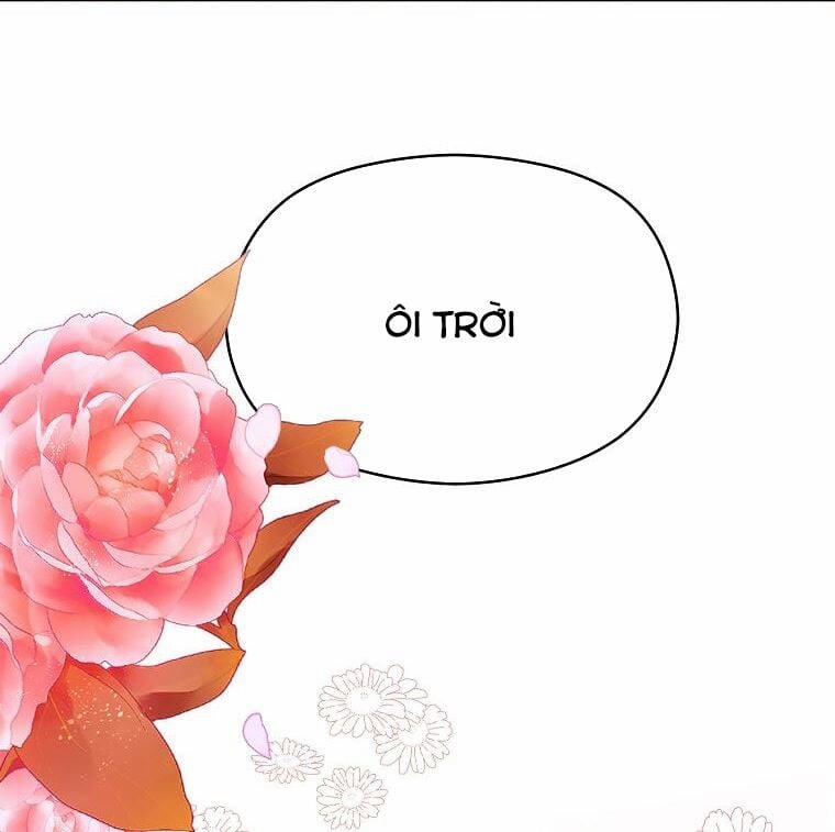 Tôi Không Cố Ý Quyến Rũ Nam Chính Đâu! 0 trang 5