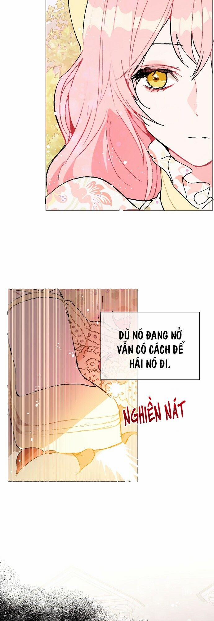 Tôi Không Cố Ý Quyến Rũ Nam Chính Đâu! 16 trang 25