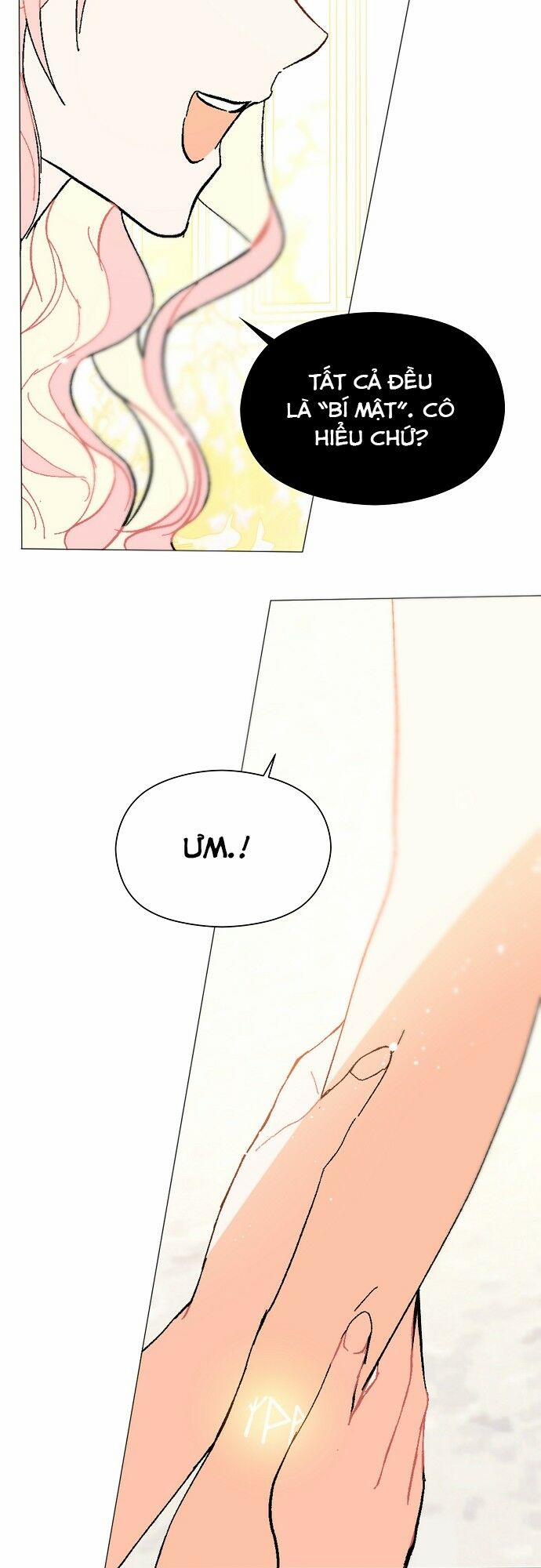 Tôi Không Cố Ý Quyến Rũ Nam Chính Đâu! 17 trang 19