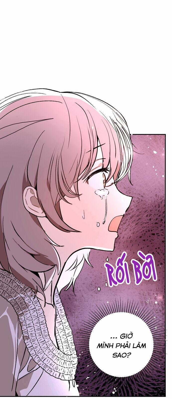Tôi Không Cố Ý Quyến Rũ Nam Chính Đâu! 22 trang 47
