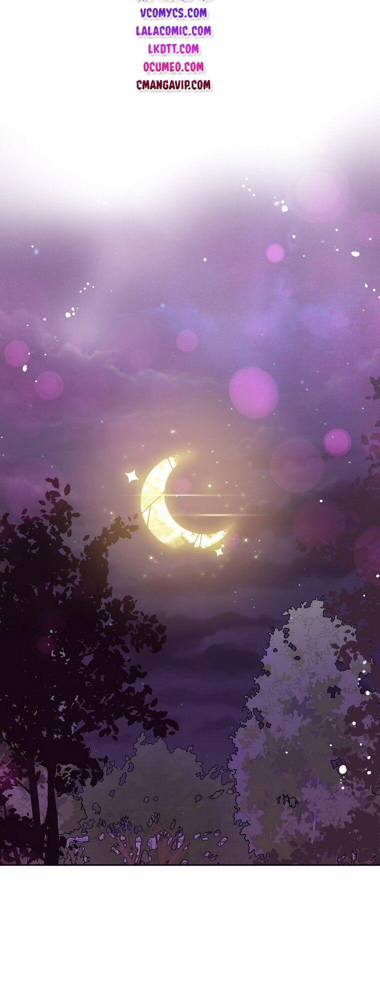 Tôi Không Cố Ý Quyến Rũ Nam Chính Đâu! 4 trang 4