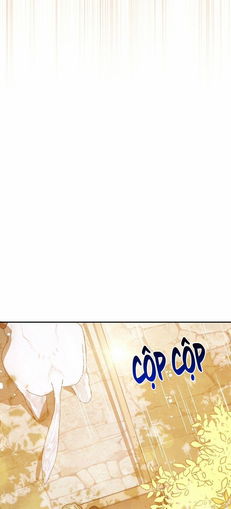 Tôi Không Cố Ý Quyến Rũ Nam Chính Đâu! 5 trang 37