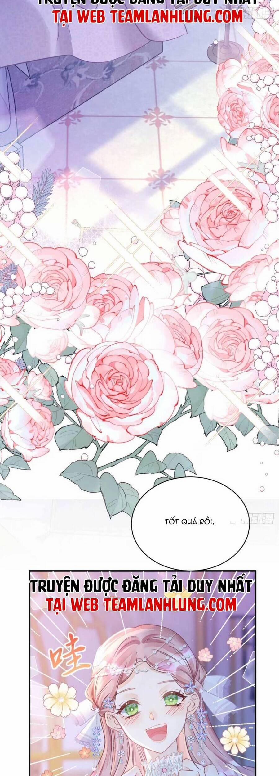 Tôi Không Muốn Làm Bạch Nguyệt Quang Của Kẻ Phản Diện 7 trang 15