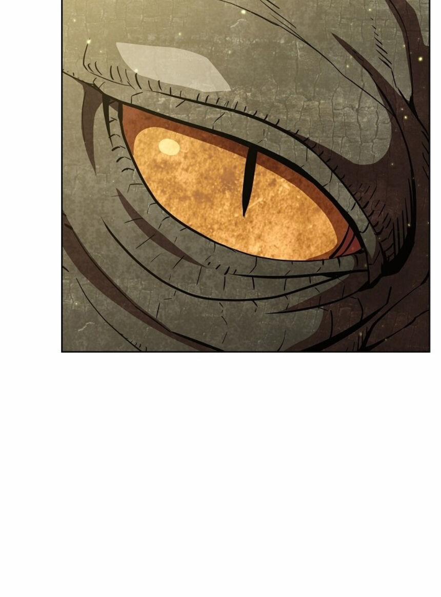 Tôi Là Người Chơi Leo Tháp Một Mình 15 trang 41