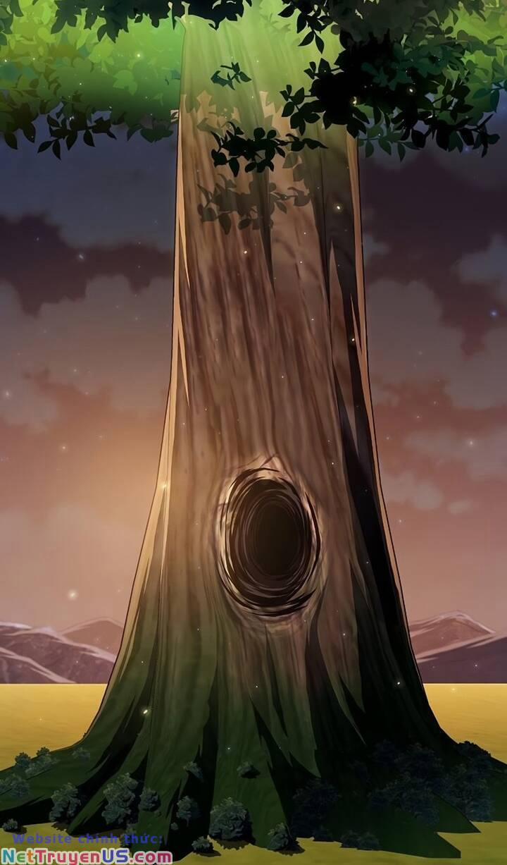 Tôi Là Người Chơi Leo Tháp Một Mình 172 trang 11