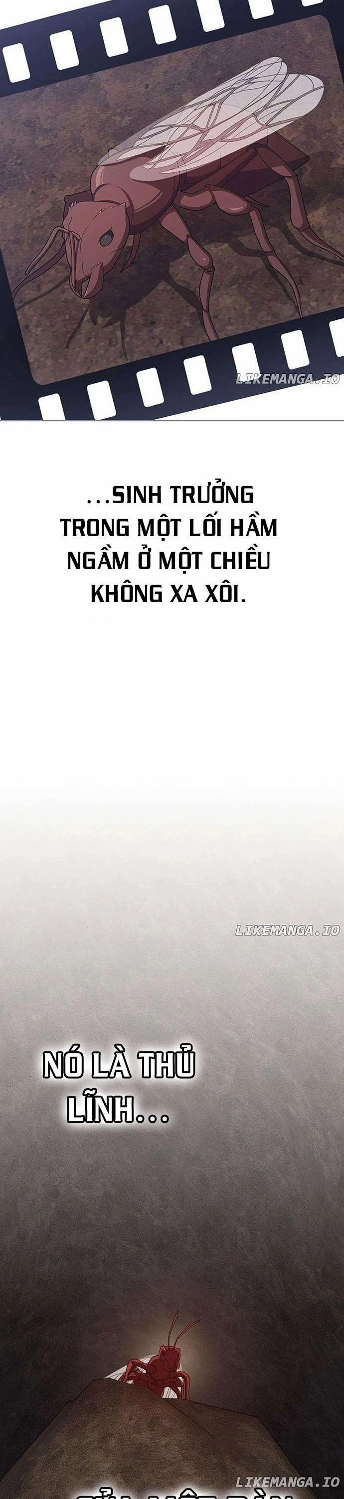 Tôi Là Người Chơi Leo Tháp Một Mình 210 trang 19