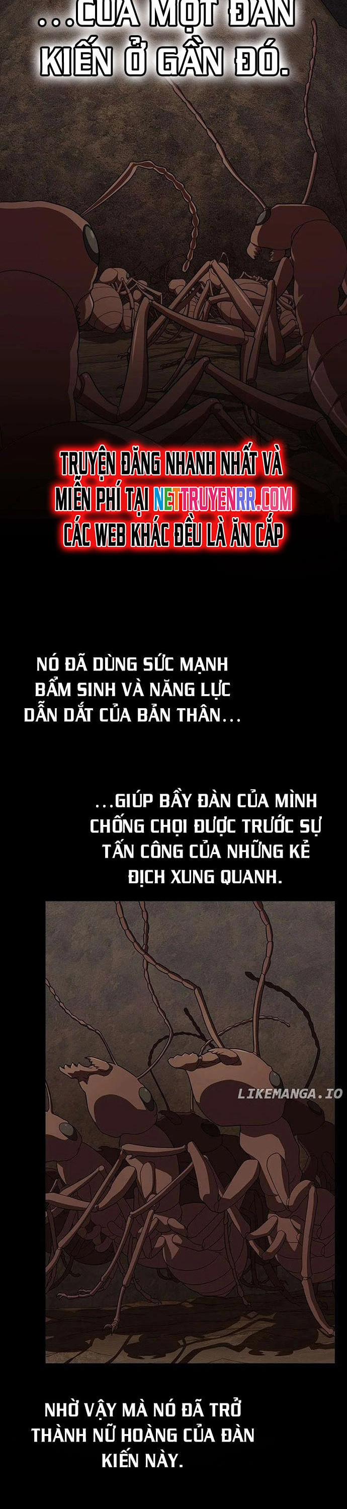 Tôi Là Người Chơi Leo Tháp Một Mình 210 trang 20