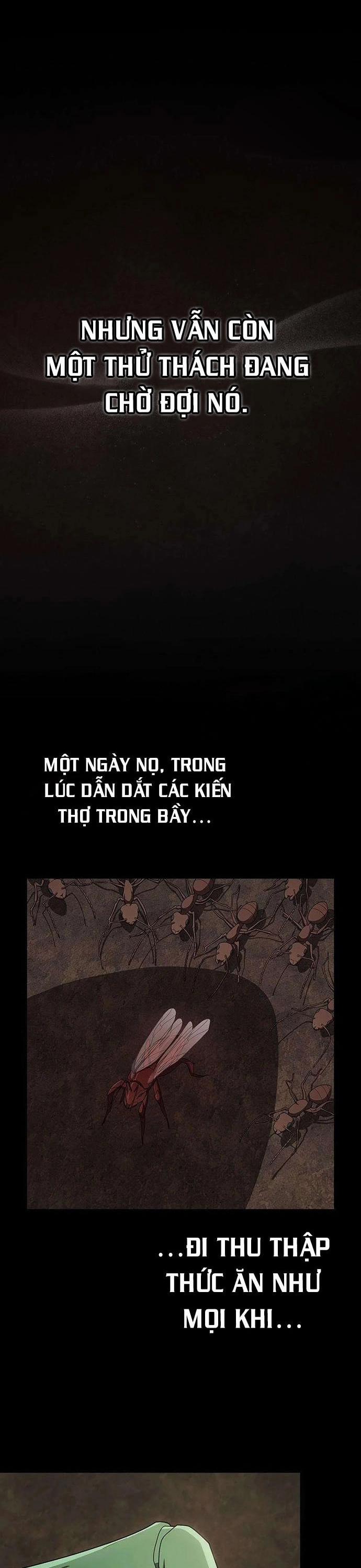 Tôi Là Người Chơi Leo Tháp Một Mình 210 trang 21