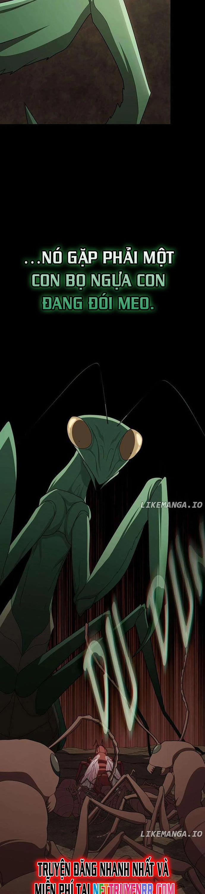 Tôi Là Người Chơi Leo Tháp Một Mình 210 trang 22