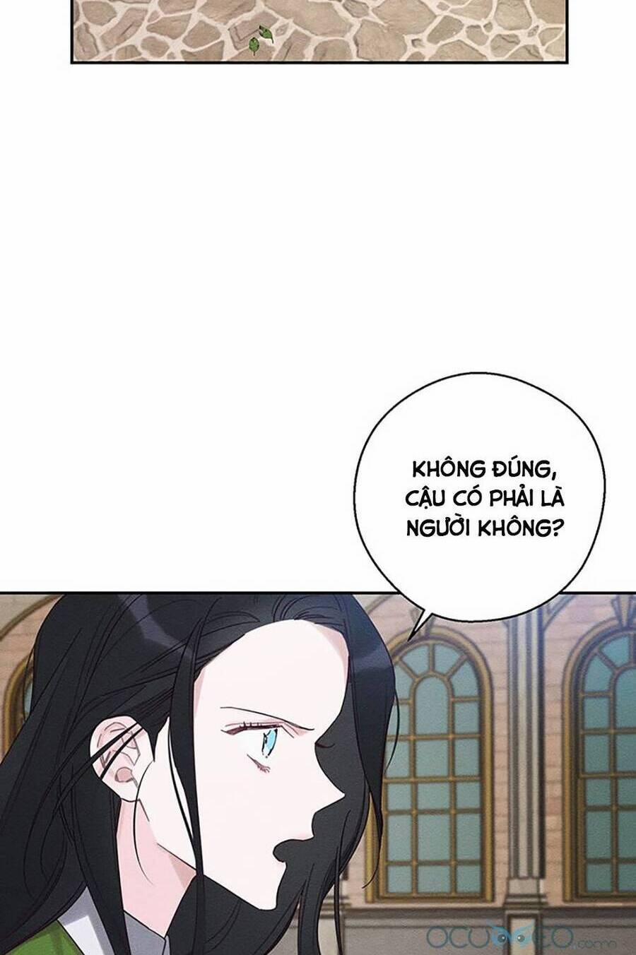 Tôi Phải Giấu Em Trai Trước Đã 38 trang 14